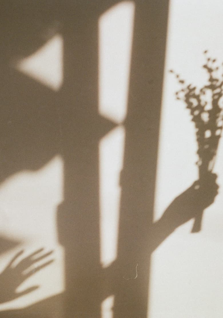 Soft sepia-toned shadows of a window frame, a hand, and dried flowers cast on a pale wall.